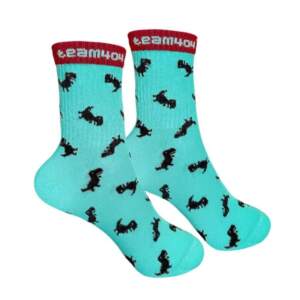 Socks with dinosaur print (men's)
