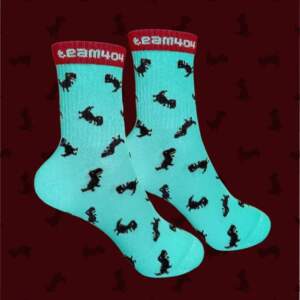 Socks with dinosaur print (men's)
